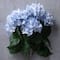 Light Blue Hydrangea Bush by Ashland®